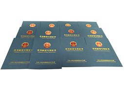 專(zhuān)利證書(shū)